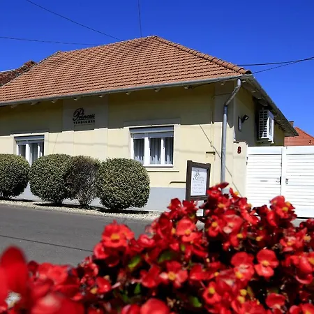 Penzion Princess Vendeghaz 3*