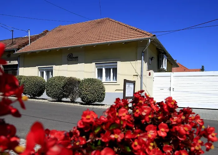 Penzion Princess Vendeghaz 3*